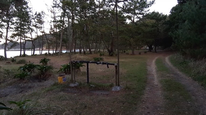 大分県無料キャンプ場の波当津海水浴場のサイト、水場